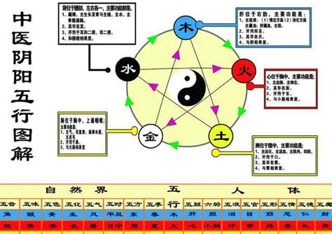 金融五行